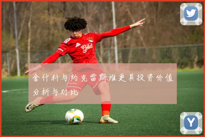 舍什科与约克雷斯谁更具投资价值分析与对比