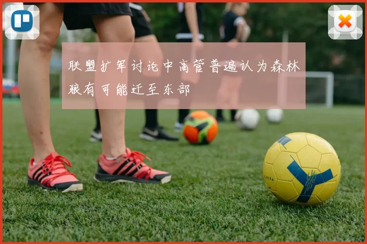 联盟扩军讨论中高管普遍认为森林狼有可能迁至东部